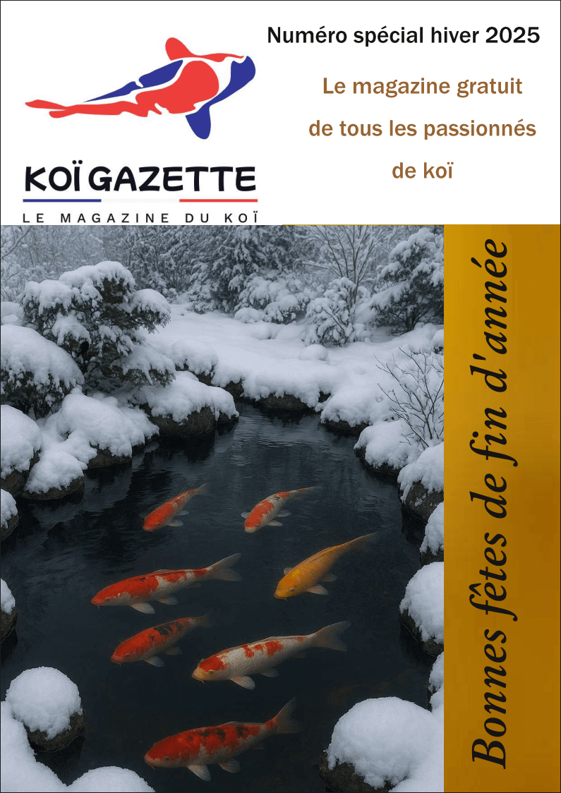 Hiver 2025 Koï Gazette